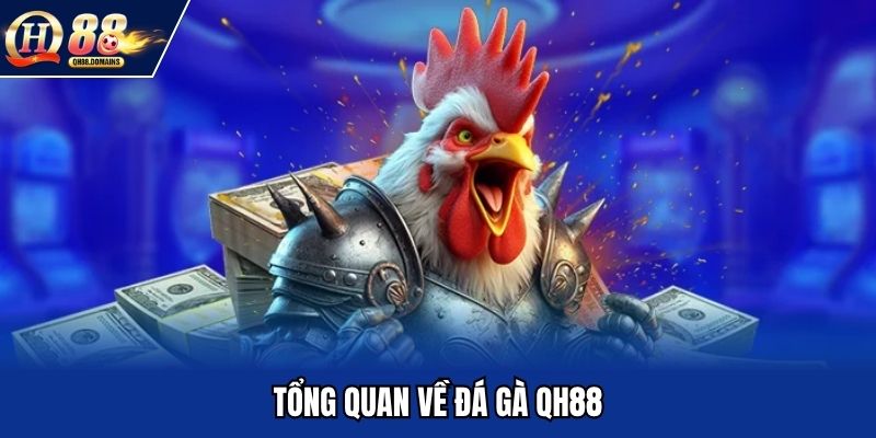 Tổng quan về đá gà QH88