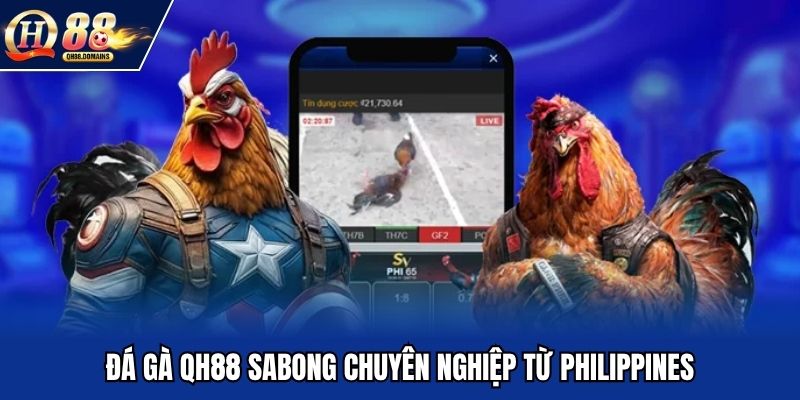 Đá gà QH88 Sabong chuyên nghiệp từ Philippines