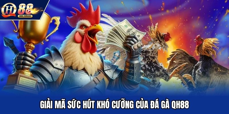 Giải mã sức hút khó cưỡng của đá gà QH88