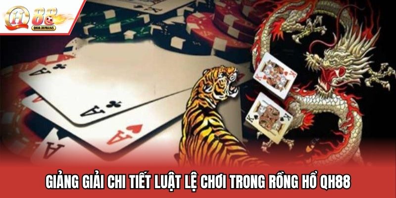 Giảng giải chi tiết luật lệ chơi trong rồng hổ QH88