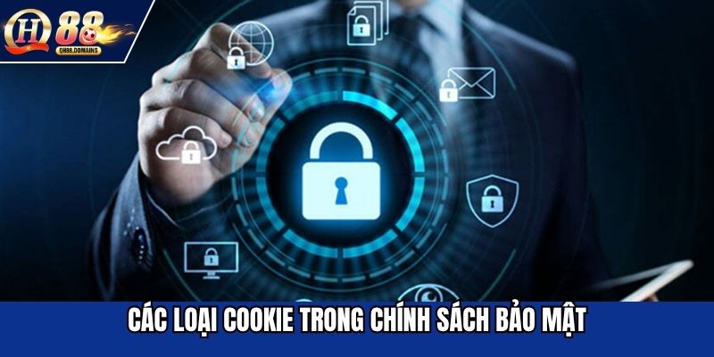 Những cookie được sử dụng trong chính sách bảo mật