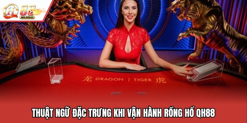 Thuật ngữ đặc trưng khi vận hành rồng hổ QH88